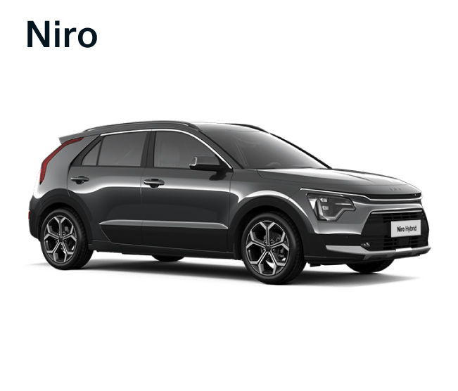 Niro