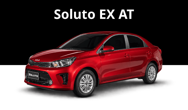 Soluto EX