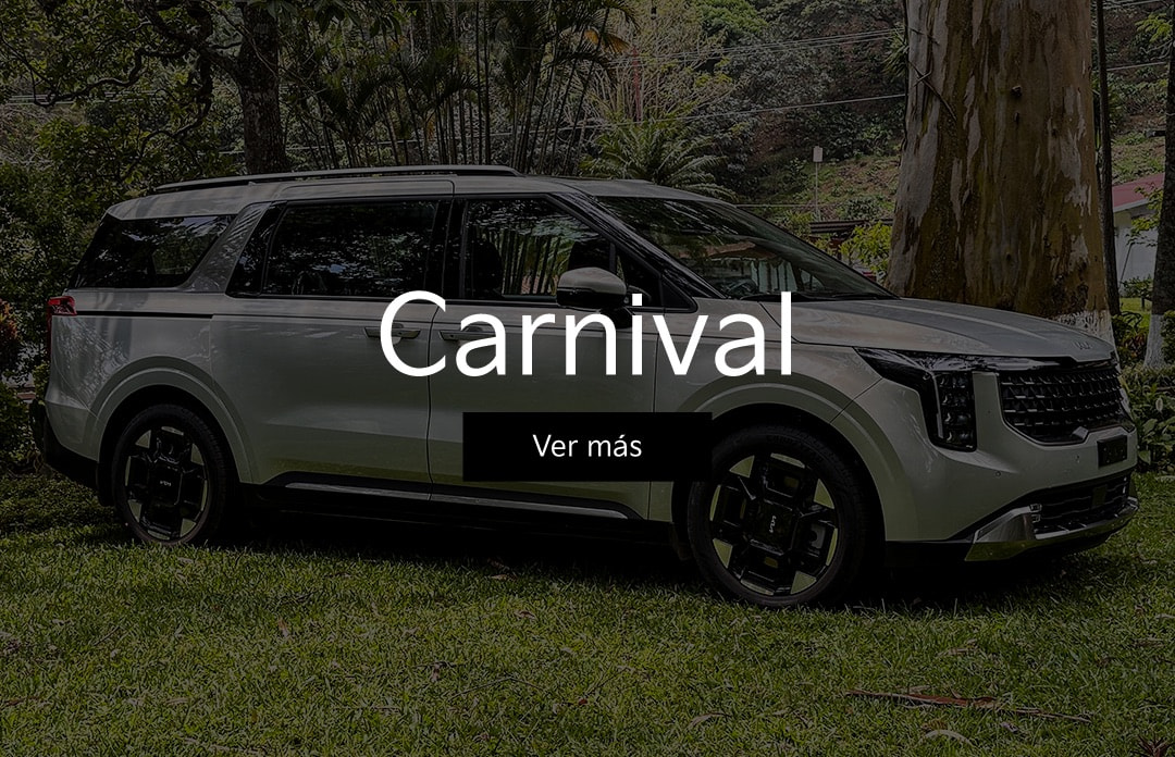 Carnival