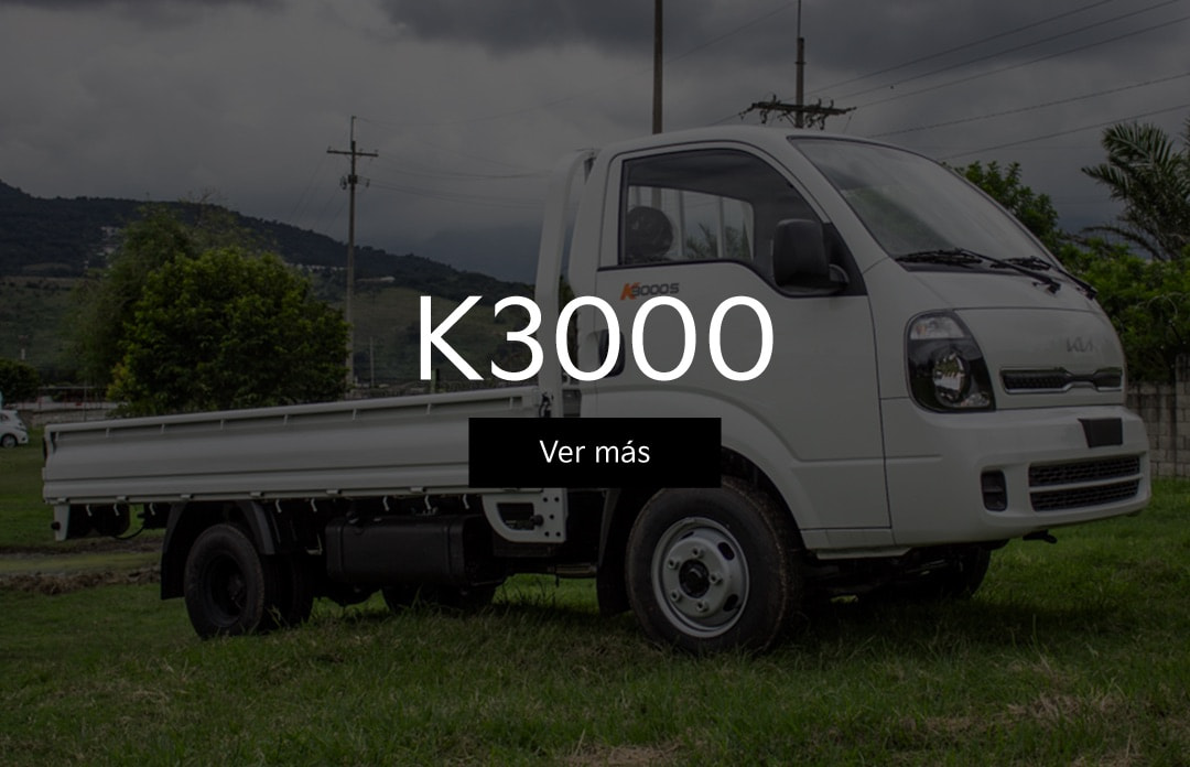 K3000