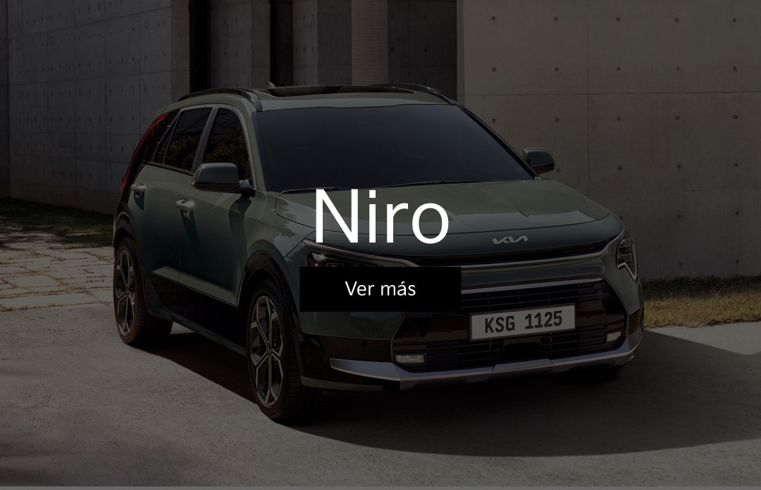 Niro